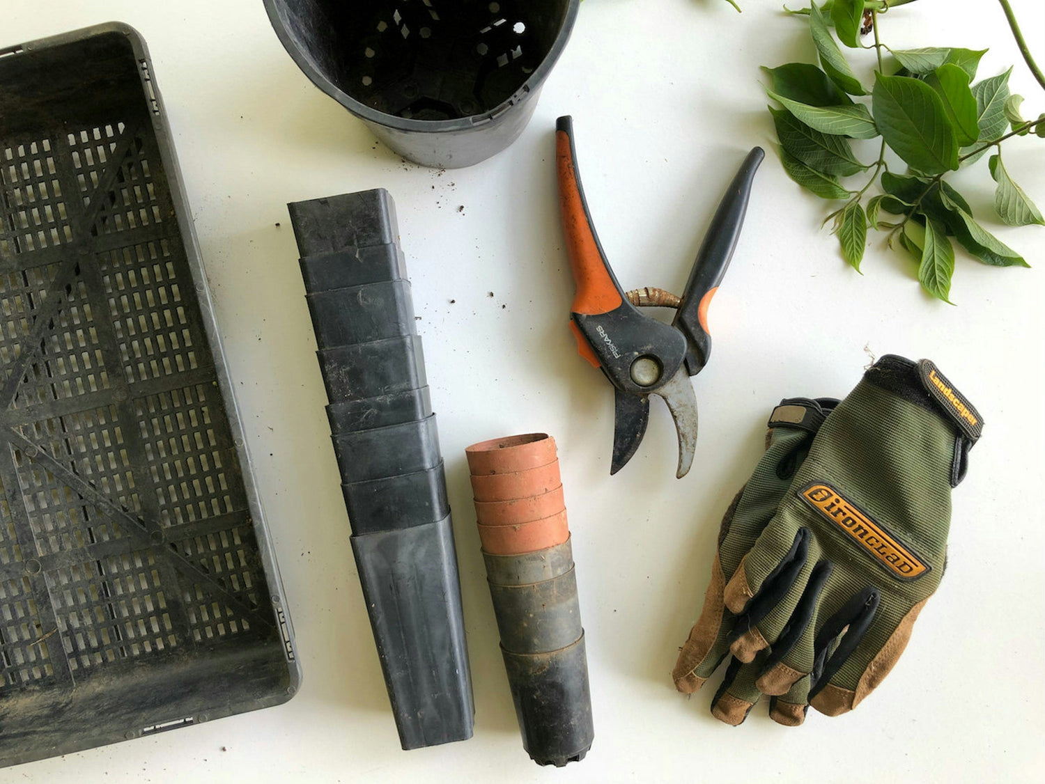Garden Essentials